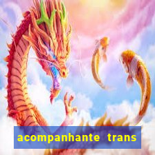 acompanhante trans de santos